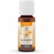 Gotas Jengibre BIO bote 20 ml